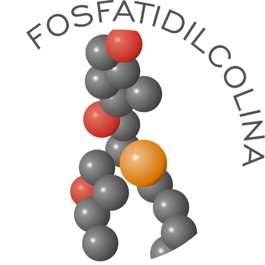 Pricipio attivo Fosfatidilcolina